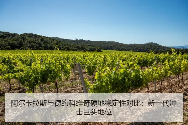 a-er-ka-la-si-yu-de-yue-ke-wei-qi-ying-di-wen-ding-xing-dui-bi-xin-yi-dai-chong-ji-ju-tou-di-wei-2-170.jpg