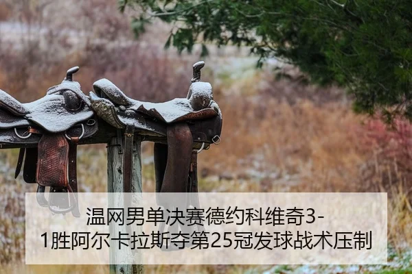 wen-wang-nan-dan-jue-sai-de-yue-ke-wei-qi-sheng-a-er-ka-la-si-duo-di-guan-fa-qiu-zhan-shu-ya-zhi-2-523.jpg