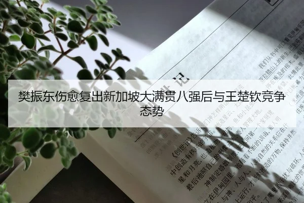 樊振东伤愈复出新加坡大满贯八强后与王楚钦竞争态势